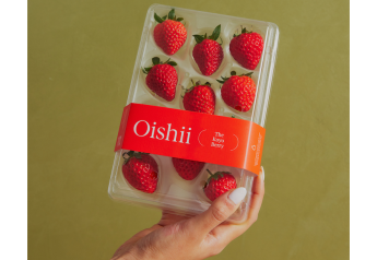 For retailers, Oishii made another vertically farmed berry: Koyo strawberry