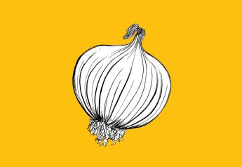 Peel Back The Onion: Understand Your Business's Trajectory