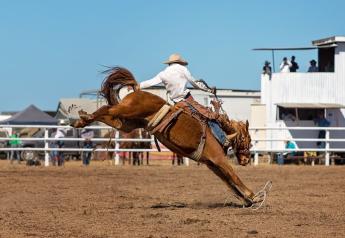 California Rodeo Salinas to host FIRA USA 2023 