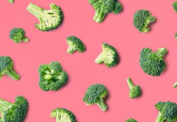 All in the family: Broccoli and its many cousins 