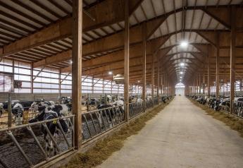 Build a Better Barn to Build a Better Cow