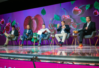 Industry leaders to share insights at Global Cherry Summit