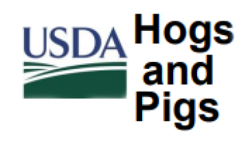 U.S. hog herd slightly bigger than year-ago