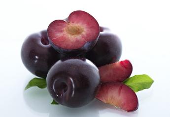 Oppy expands South African plum portfolio in second season 
