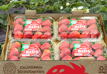 Naturipe Farms offering limited-time Mighty Reds jumbo strawberries