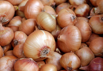 Texas onion season set for big volume