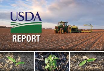 First U.S. corn and soybean crop estimates the highlight of Friday's reports