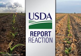 PF Report Reaction: Bullish reaction to USDA's October crop reports