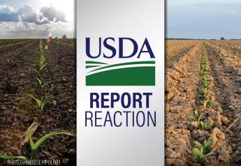 PF Report Reaction: Bullish USDA data for corn