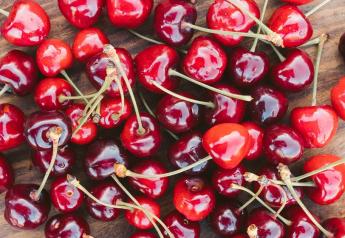 Rivermaid to begin its California cherry season in late April