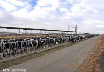 Dairy Thought-Leaders Address Challenges and Risk Management Tools 