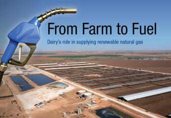 From Farm to Fuel: Dairy's Role in Supplying Renewable Natural Gas