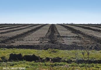Tile Drainage Spacing With The Highest Economic Return