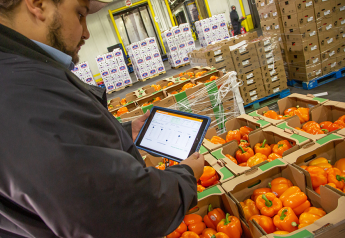 How timely tech is bolstering food tracking and safety