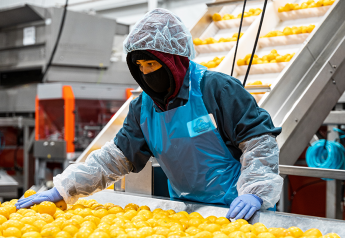 Growers see traceability as essential to food safety