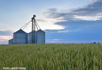 The 5 Fundamentals That Could Still Rally Wheat Prices