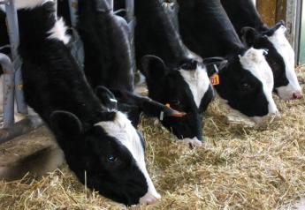 How Technology is Enriching Dairy Operations