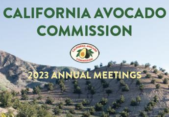 Meet California Avocado Commission’s new leadership team