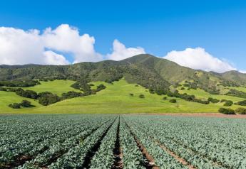 California agencies chart plan for the next decade of food and ag 
