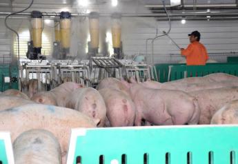 Labor Crisis Spurs Action from Illinois Pork Producers Association