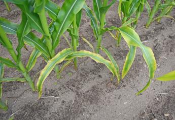 Be More Than Oh-K: How To Manage Your Field’s Potassium Levels