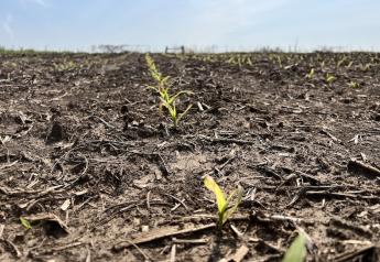 Breakneck Planting Pace Sets New Record for Missouri Farmers