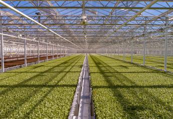 Greenhouse grower Little Leaf Farms puts farming first: A Q&A with CEO Paul Sellew