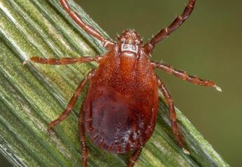 Longhorned Ticks Discovered in Boone County, MO, for First Time