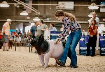 How Illinois Legislators are Removing Obstacles for 4-H and FFA Youth 