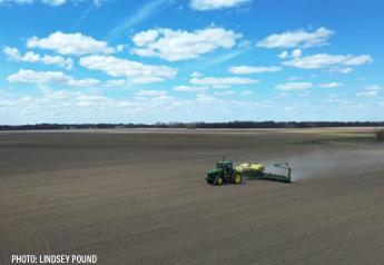 Consultant releases initial U.S. corn, bean crop forecasts