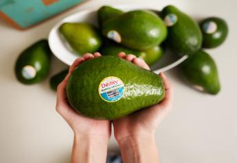 Miami-based grower to highlight tropical avocados at CPMA show