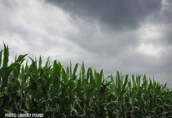 Mostly favorable finishing weather expected for Corn Belt