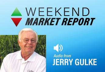Corn and Soybeans See Little Change for the Week — Focus Now On June Acreage Report