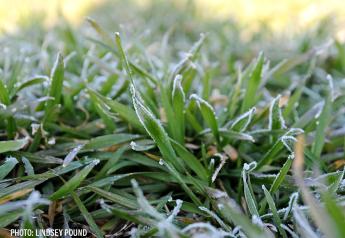 Could A Crop-Killing Frost And Freeze Event Hit Late Next Week?