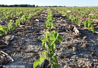 The Great Debate: What's the Ideal Row Spacing for Planting Soybeans?