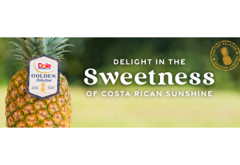 Dole unveils Golden Selection pineapple