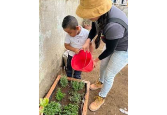 NatureSweet creates fruit and vegetable gardens for schools in Mexico