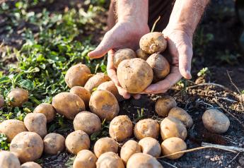Progressive Produce anticipates good quality in California potato crop