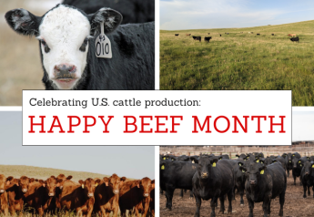 From Cowboys To Cattlemen: History of the U.S. Cattle Industry