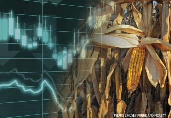 IGC Cuts Global Corn Crop Forecast
