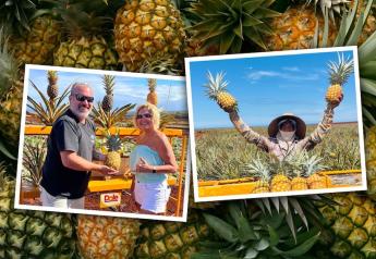 Dole welcomes visitors and locals to Dole pineapple farm on Oahu in Hawaii