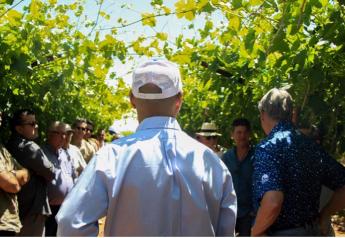 Fresh Farms launches ‘Taste to Believe’ campaign ahead of Mexican grape season