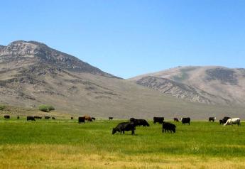 Capturing the Value of Sustainable Beef Management Practices 