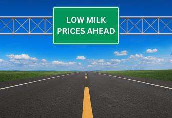 Milk Prices Take Another Hit