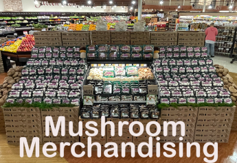 Mushroom merchandising inspiration