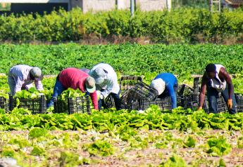 Year in Produce 2023: Growers pinched by high cost of wages, increased need for guest workers