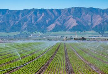 Salinas Valley growers get nimble to address supply gaps