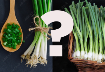 What's the difference between spring onions and scallions?