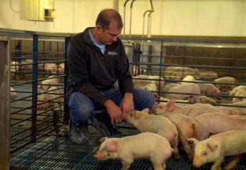 Never Underestimate the Resolve of the American Pork Producer