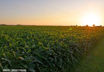 Are 100-Bushel Soybean Yield Averages On The Horizon?
